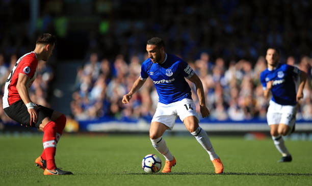 会成为自己 会成为自己