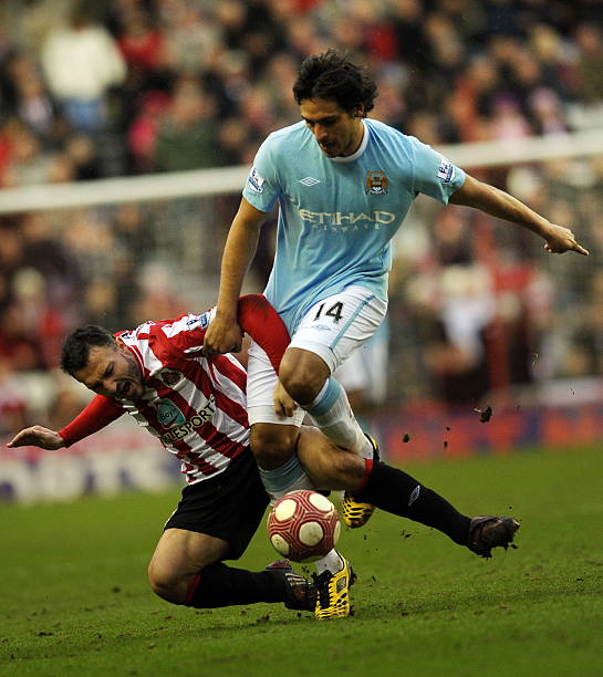 灰熊是西部 灰熊是西部