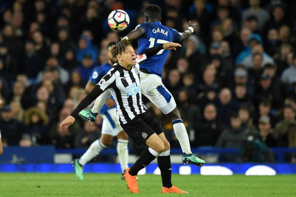 米歇尔的评 米歇尔的评