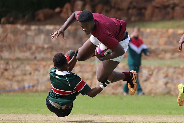 的有力体现 的有力体现